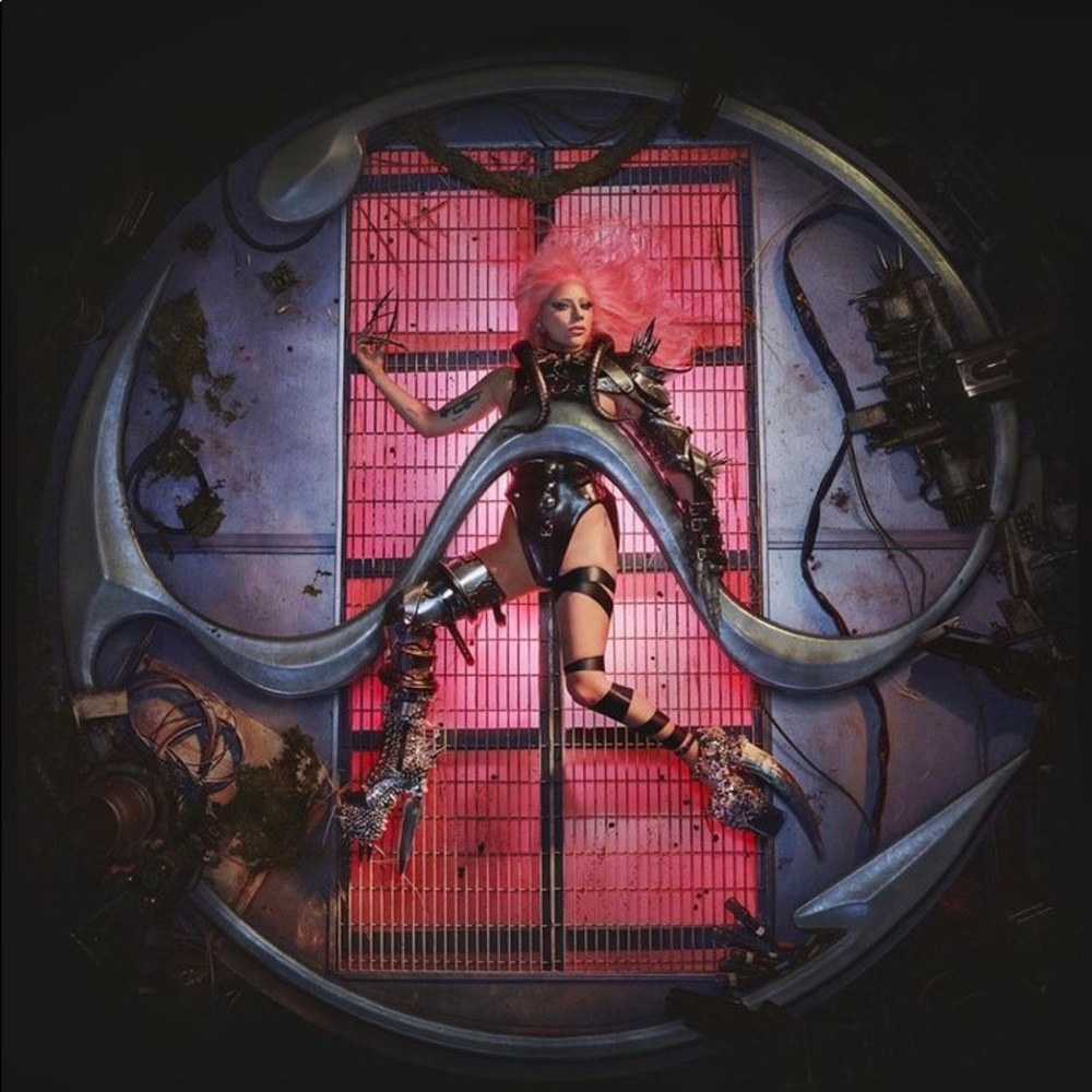 Meet your Posher, Wyatt